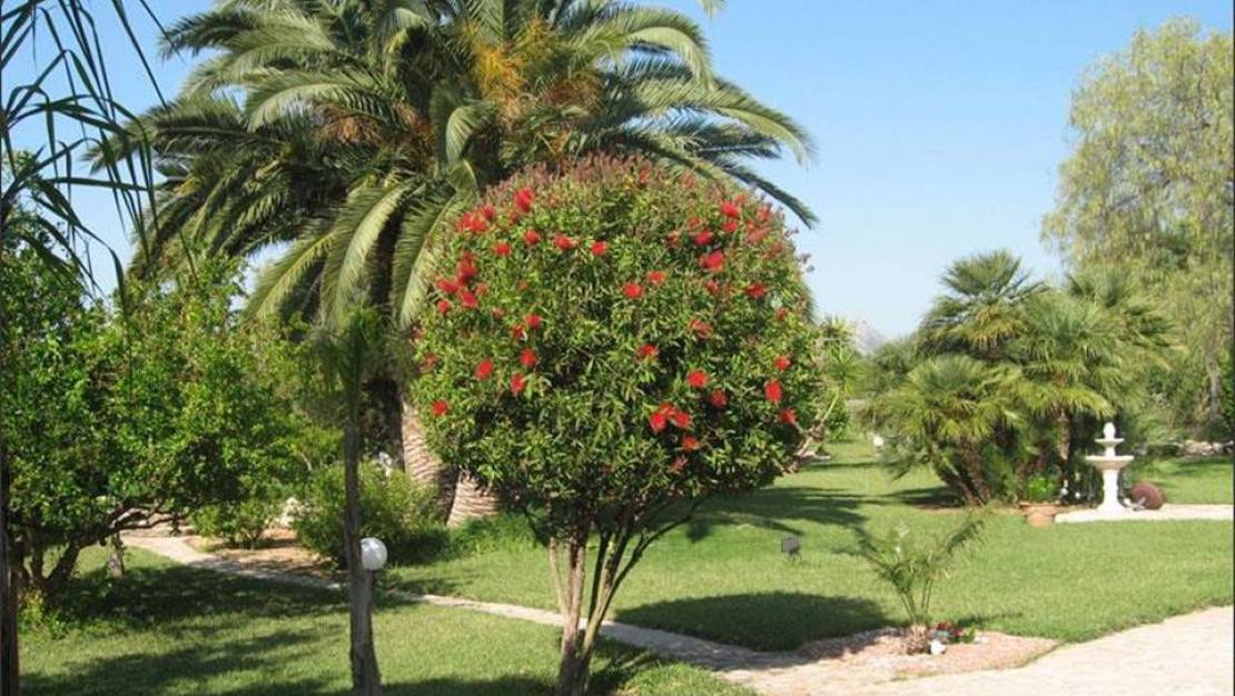 Sale - Villa - Denia - Denia Centro