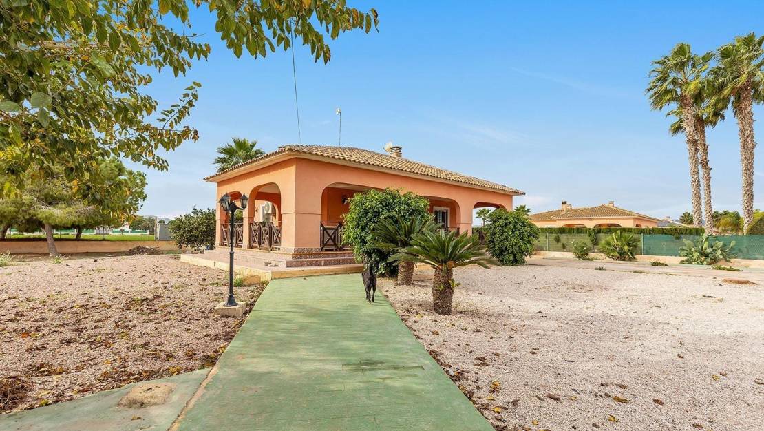 Sale - Villa - Dolores - Comunidad valenciana