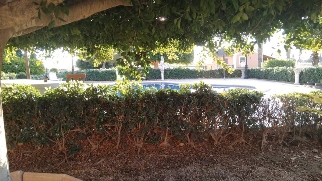 Sale - Villa - Dolores - Dolores Centro