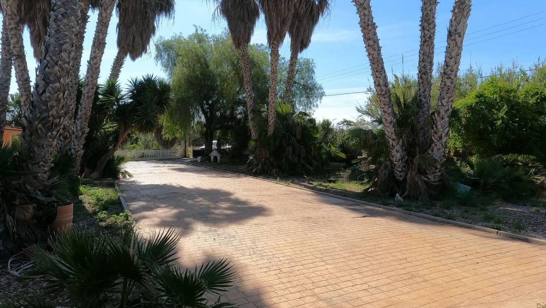 Sale - Villa - Dolores - Dolores Centro