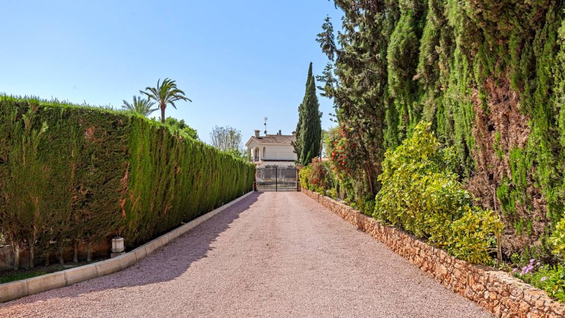 Sale - Villa - Elche - Elche Centro