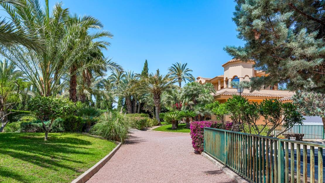 Sale - Villa - Elche - Elche Centro