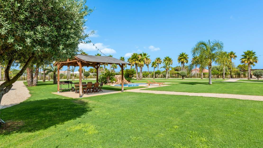 Sale - Villa - Elche - Elche Centro