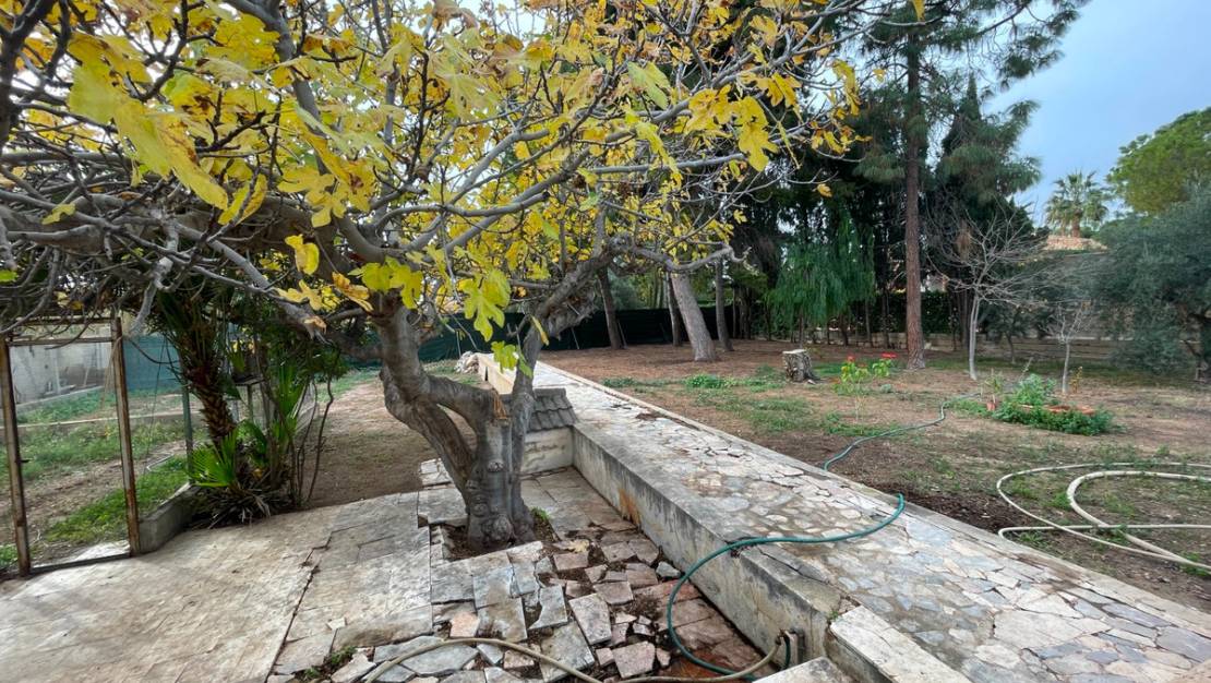 Sale - Villa - Elche - Elche Centro