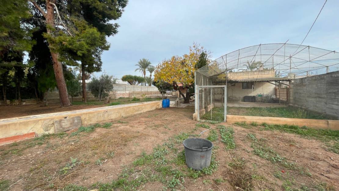 Sale - Villa - Elche - Elche Centro