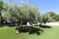 Sale - Villa - Elche - Elche Centro