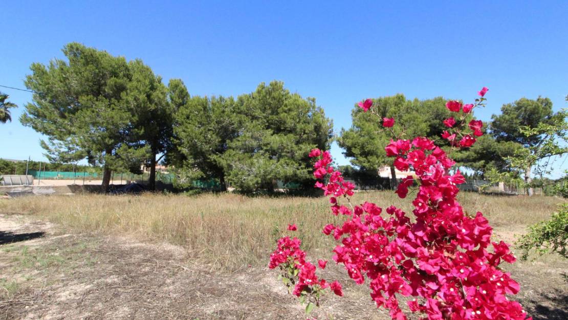 Sale - Villa - Elche - Elche Centro
