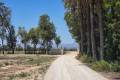 Sale - Villa - Elche - Elche Centro