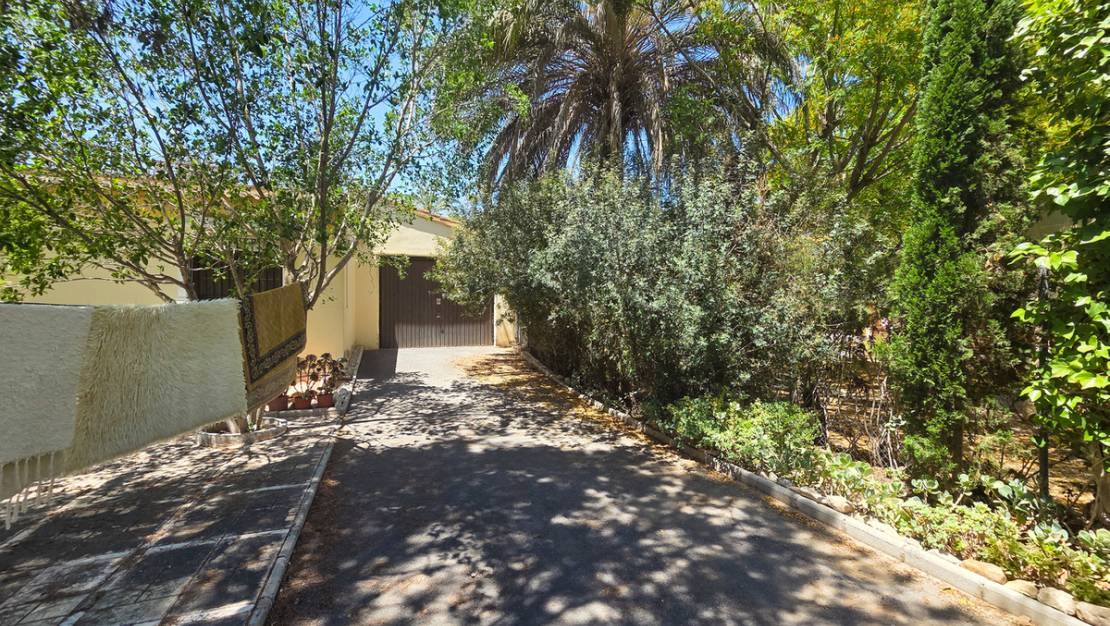 Sale - Villa - Elche - Elche Centro