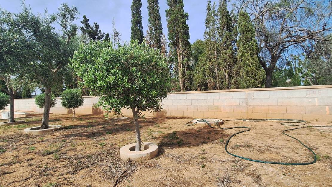 Sale - Villa - Elche - Elche Centro