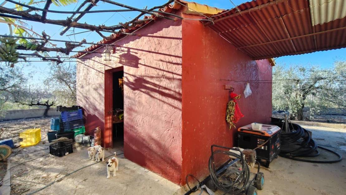 Sale - Villa - Elche - Las Bayas