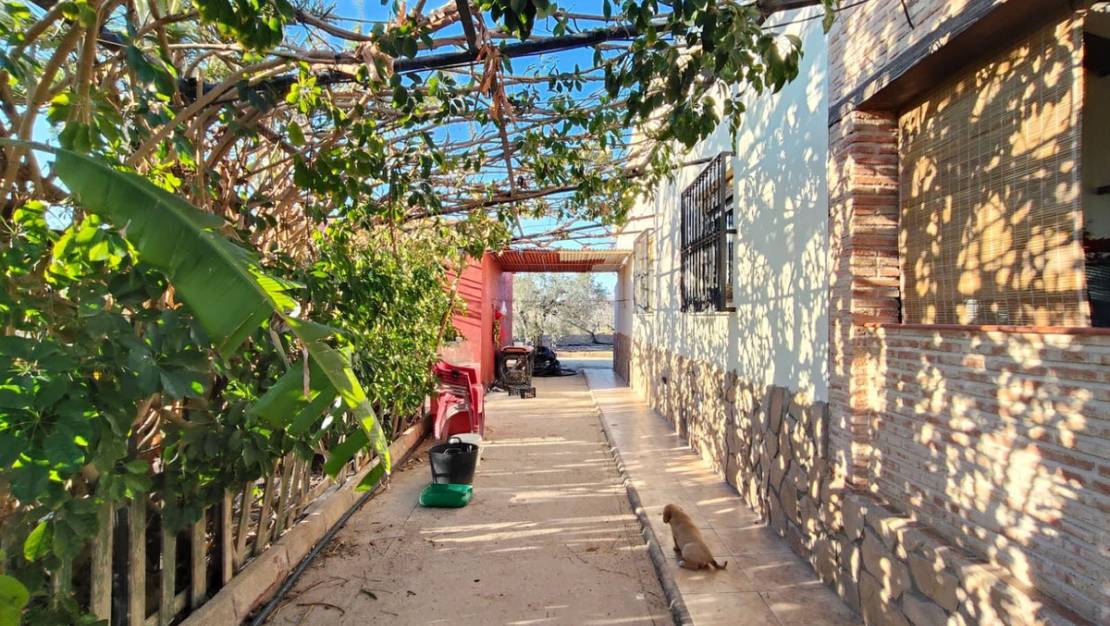 Sale - Villa - Elche - Las Bayas