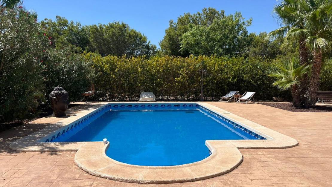 Sale - Villa - Elche - Torrellano
