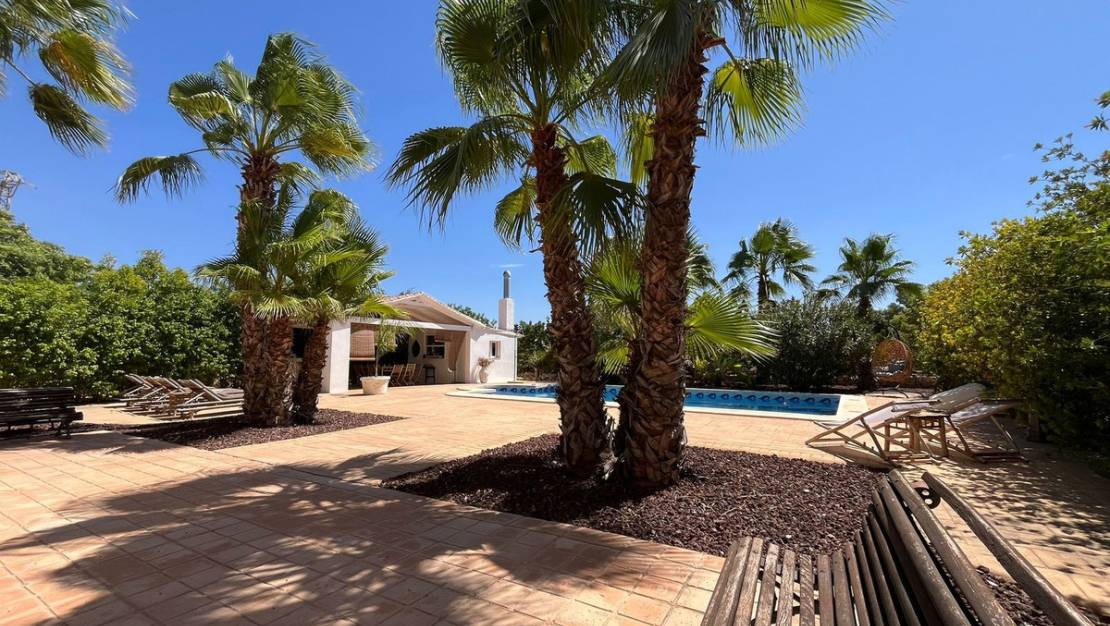 Sale - Villa - Elche - Torrellano