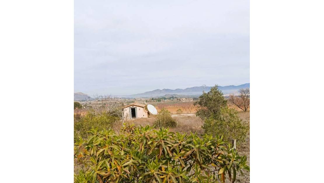 Sale - Villa - Elda - Elda Centro