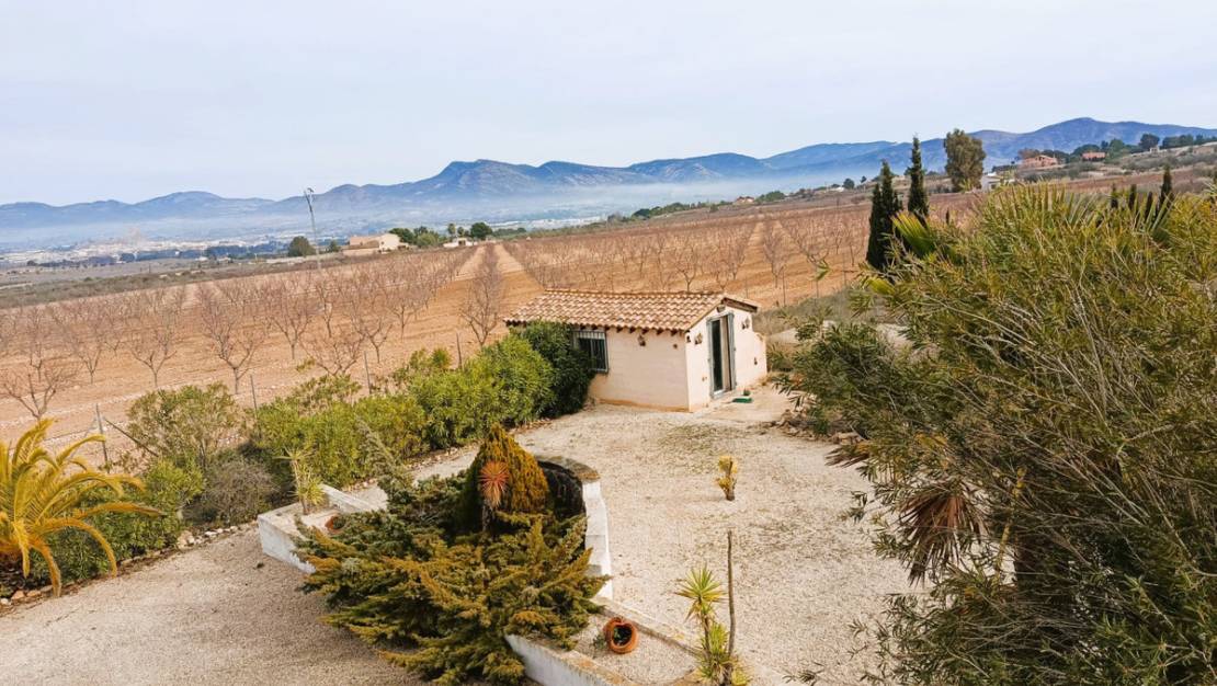 Sale - Villa - Elda - Elda Centro