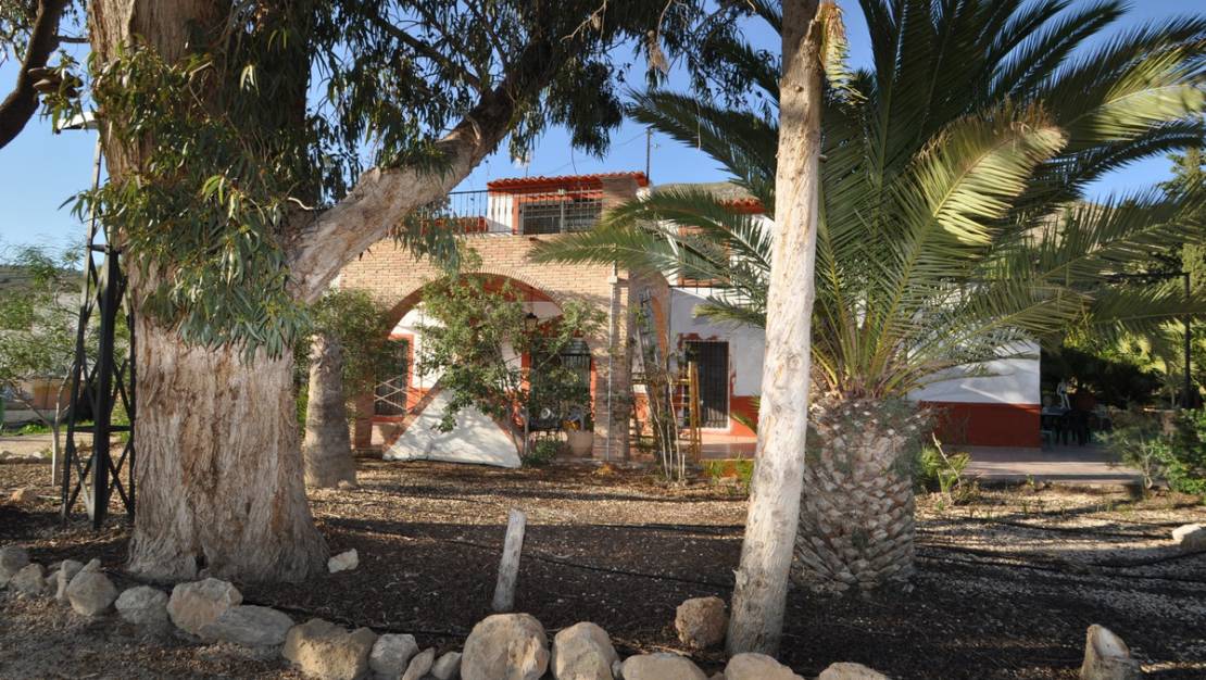 Sale - Villa - Fortuna - Fortuna Centro