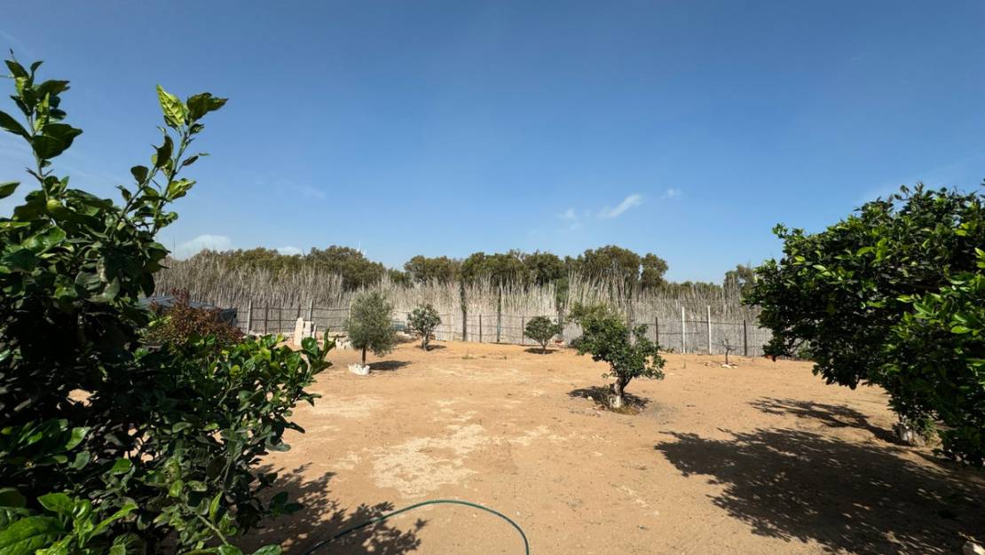 Sale - Villa - Guardamar del Segura - Guardamar del Segura Centro