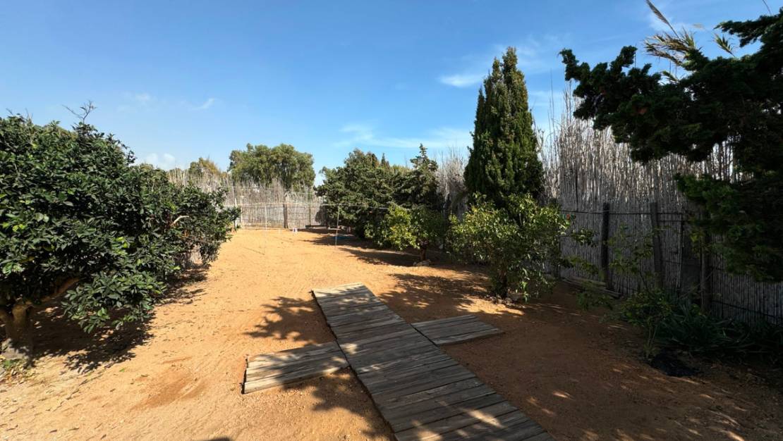 Sale - Villa - Guardamar del Segura - Guardamar del Segura Centro