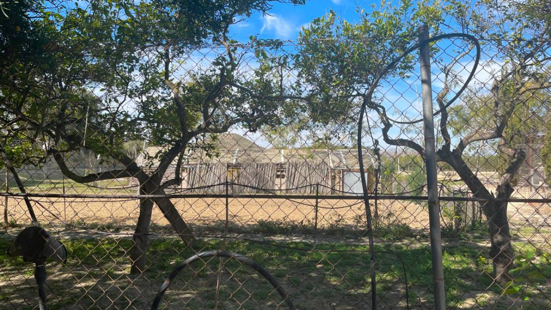 Sale - Villa - Guardamar del Segura - Guardamar del Segura Centro