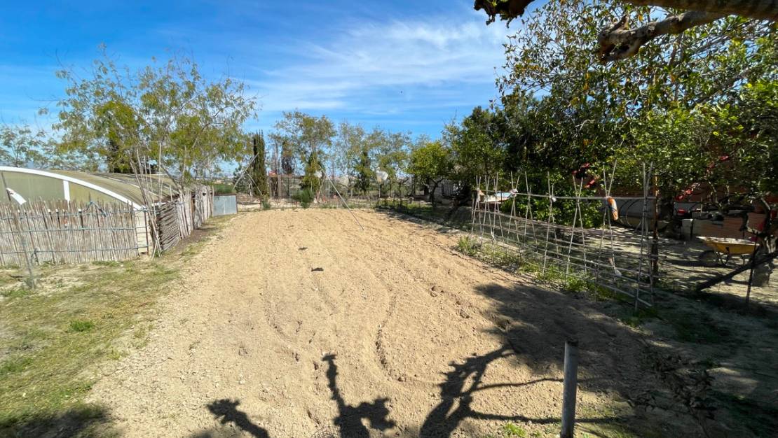 Sale - Villa - Guardamar del Segura - Guardamar del Segura Centro