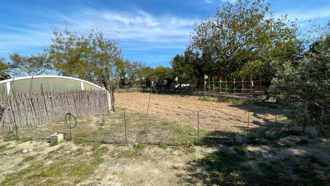 Sale - Villa - Guardamar del Segura - Guardamar del Segura Centro