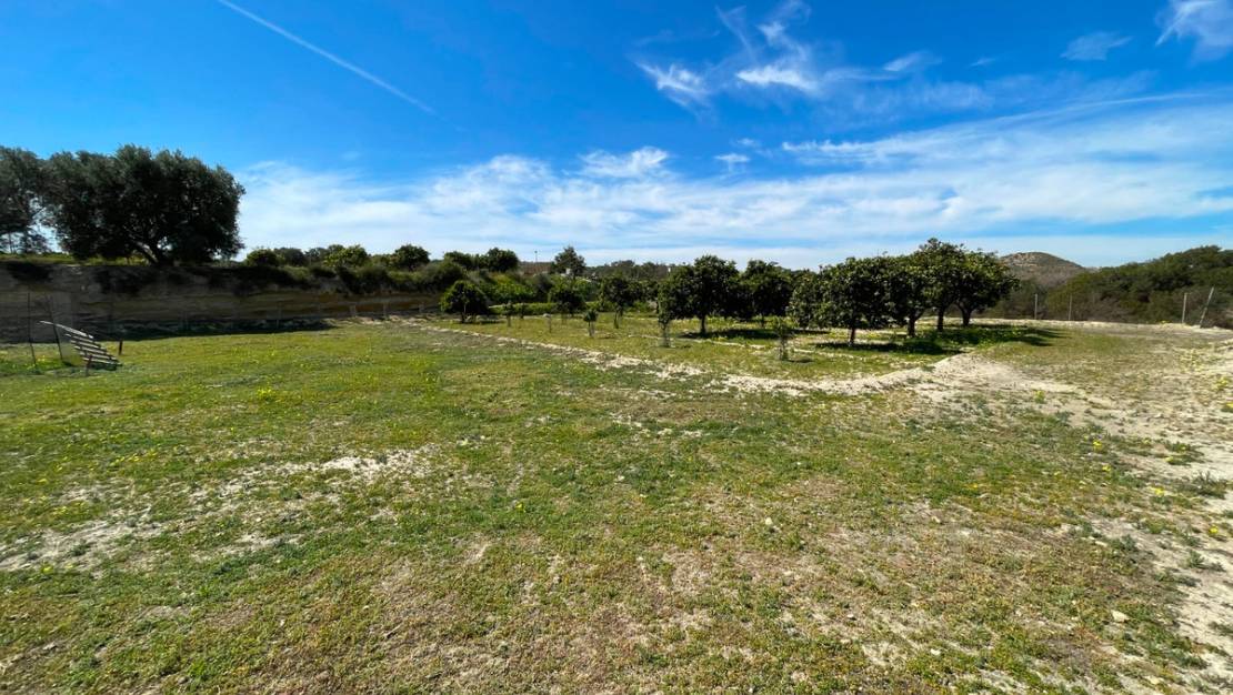 Sale - Villa - Guardamar del Segura - Guardamar del Segura Centro