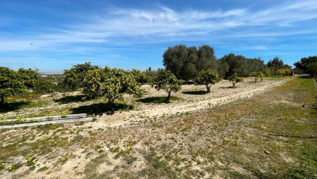 Sale - Villa - Guardamar del Segura - Guardamar del Segura Centro