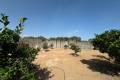 Sale - Villa - Guardamar del Segura - Guardamar del Segura Centro