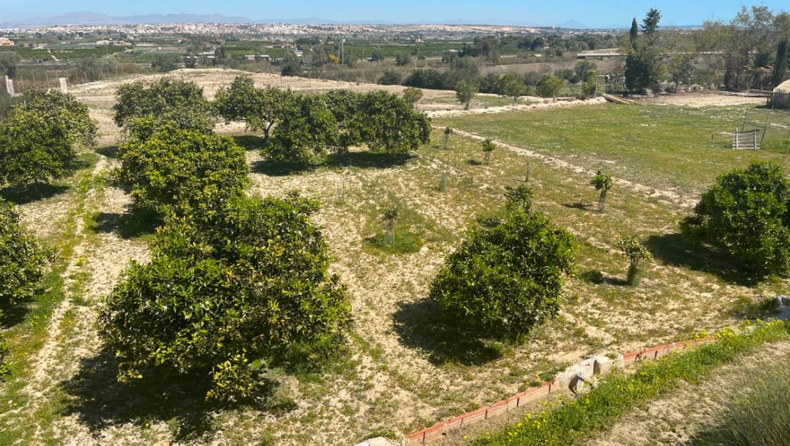 Sale - Villa - Guardamar del Segura - Guardamar del Segura Centro