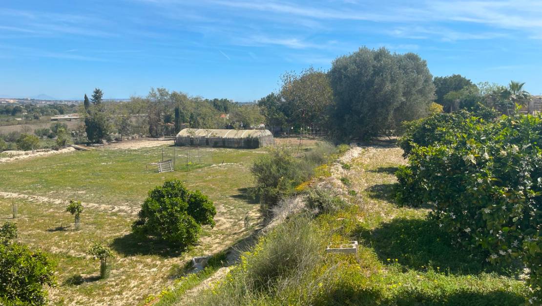 Sale - Villa - Guardamar del Segura - Guardamar del Segura Centro