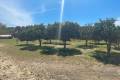Sale - Villa - Guardamar del Segura - Guardamar del Segura Centro