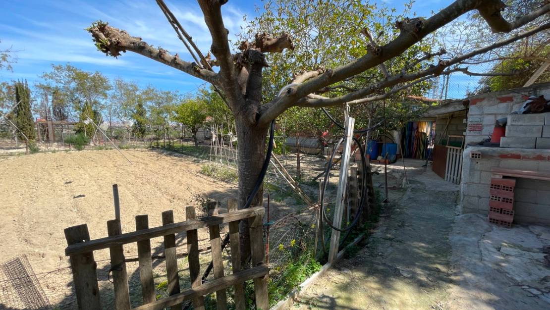Sale - Villa - Guardamar del Segura - Guardamar del Segura Centro