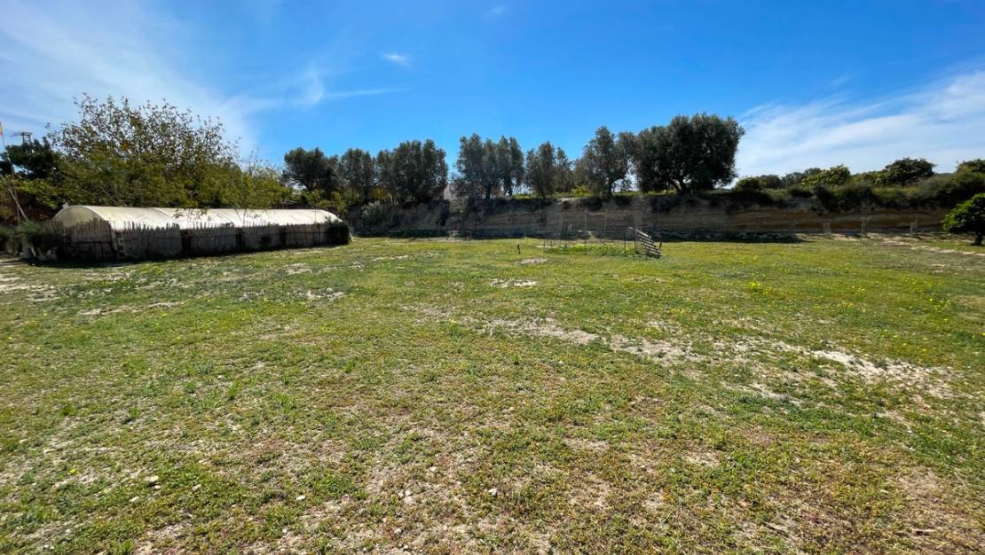 Sale - Villa - Guardamar del Segura - Guardamar del Segura Centro