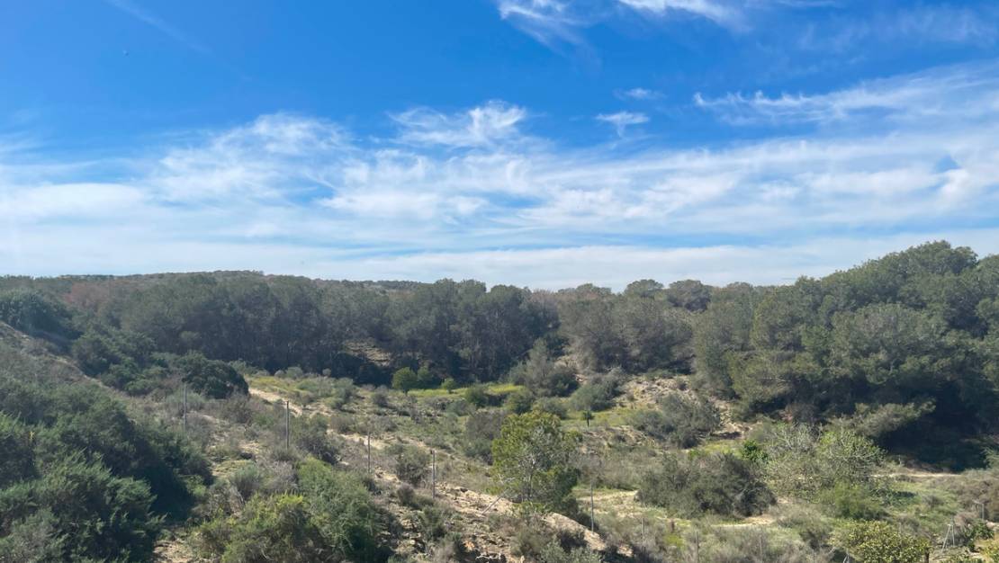 Sale - Villa - Guardamar del Segura - Guardamar del Segura Centro