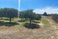Sale - Villa - Guardamar del Segura - Guardamar del Segura Centro