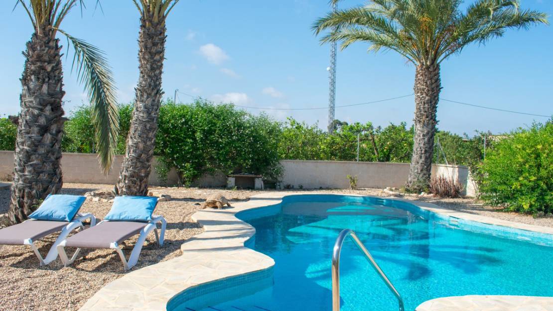 Sale - Villa - Guardamar del Segura - Urbanización El Raso