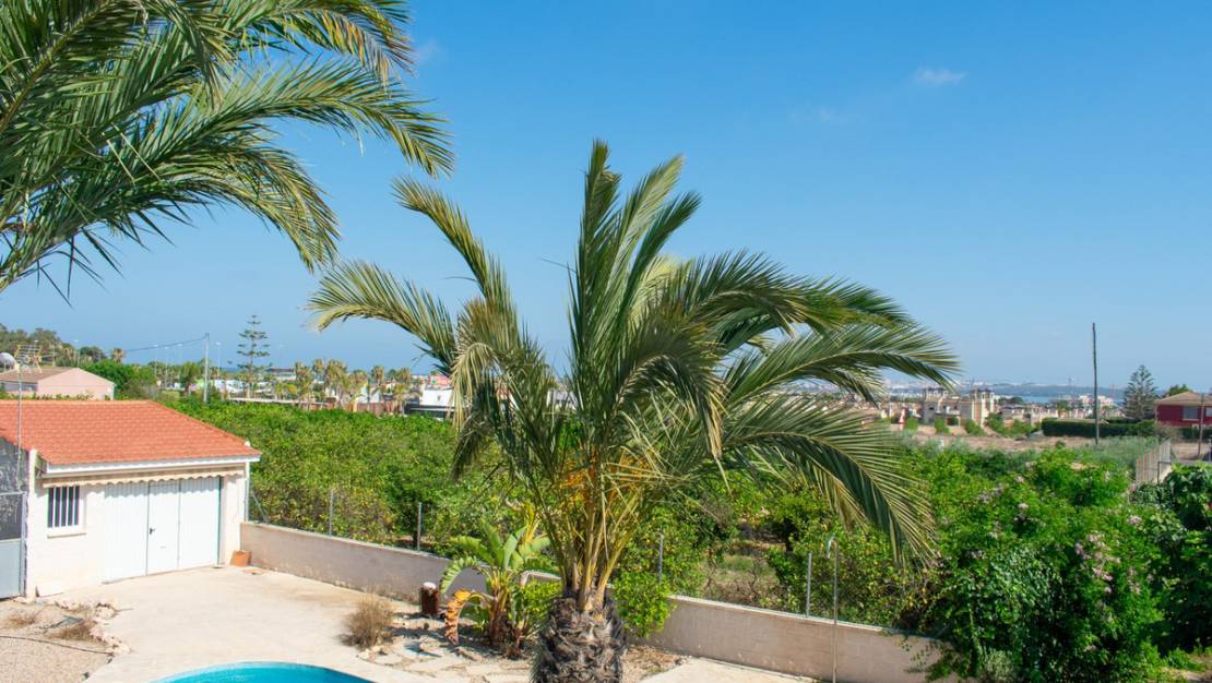 Sale - Villa - Guardamar del Segura - Urbanización El Raso