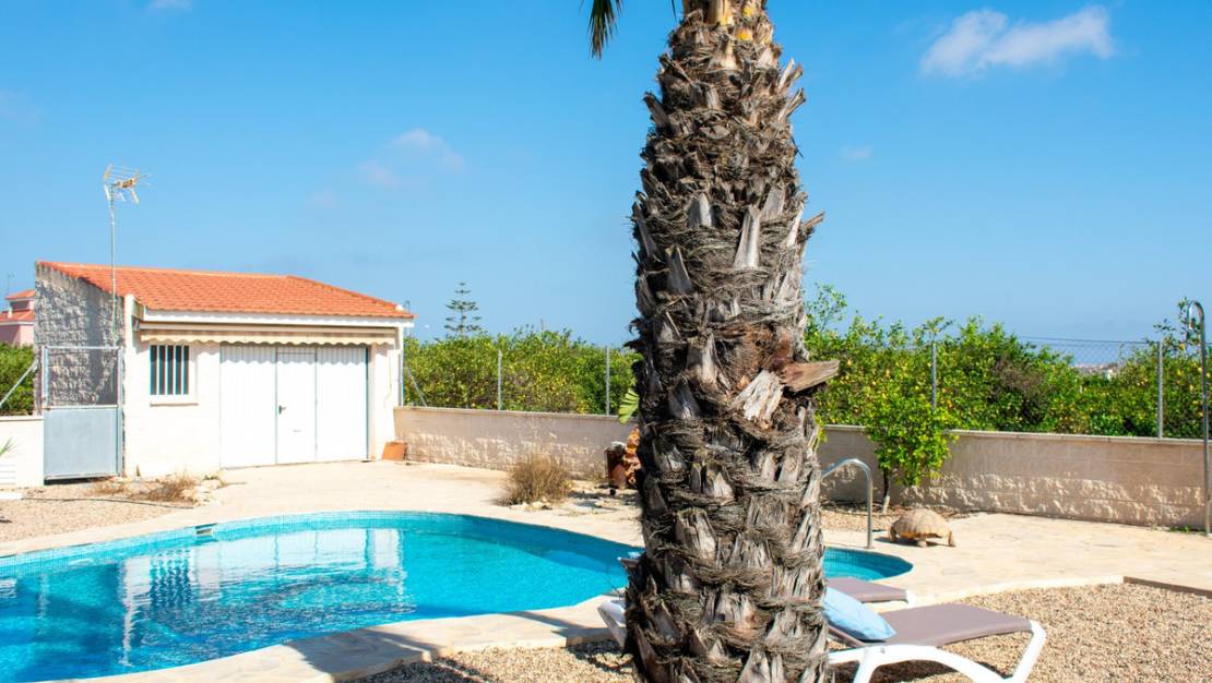 Sale - Villa - Guardamar del Segura - Urbanización El Raso