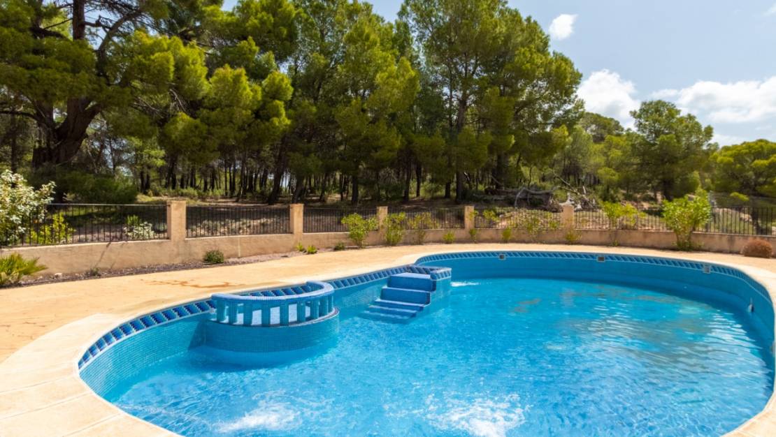 Sale - Villa - Ibi