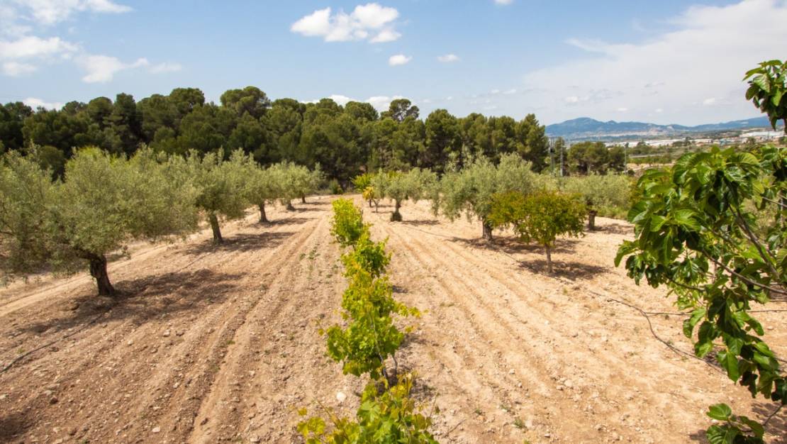 Sale - Villa - Ibi