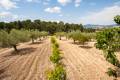 Sale - Villa - Ibi