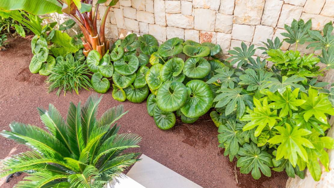 Sale - Villa - Jávea - Xàbia - Jávea - Xàbia Centro