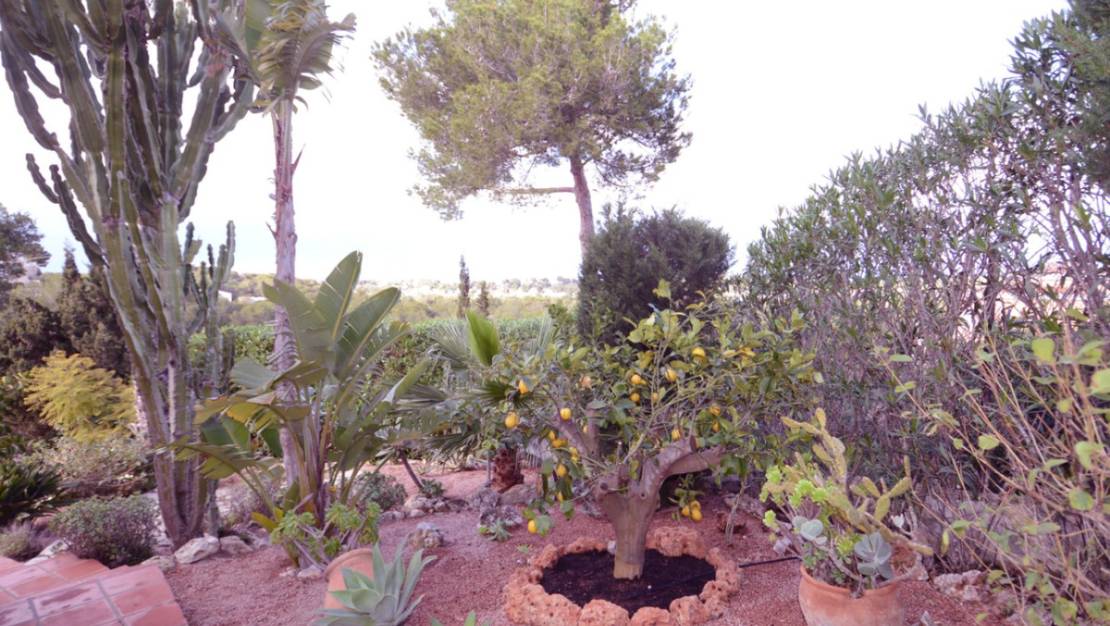 Sale - Villa - Jávea - Xàbia - Jávea - Xàbia Centro