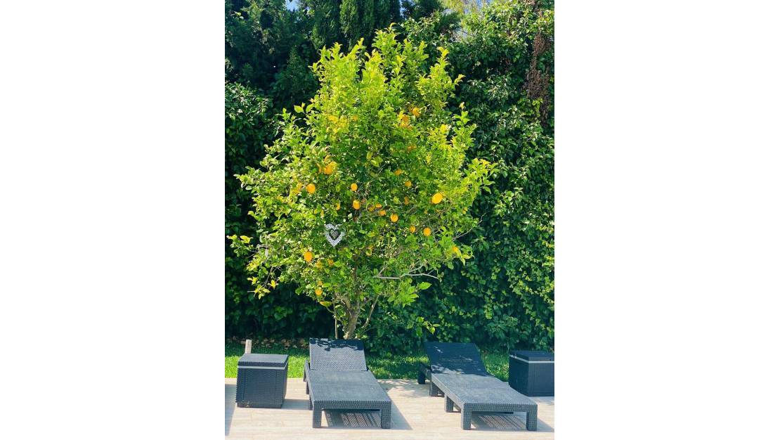 Sale - Villa - Jávea - Xàbia - Jávea - Xàbia Centro