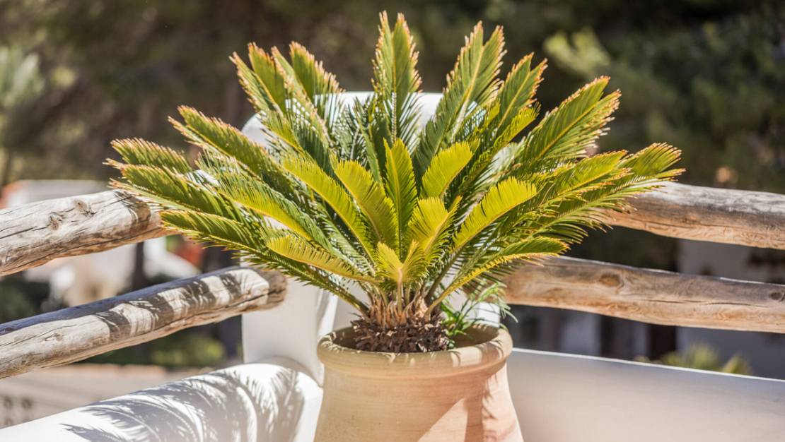 Sale - Villa - Jávea - Xàbia - Jávea - Xàbia Centro