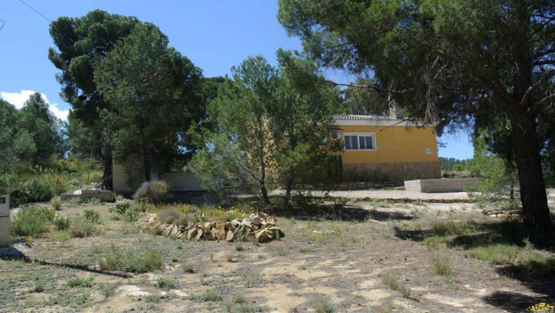 Sale - Villa - Jumilla - Jumilla Centro