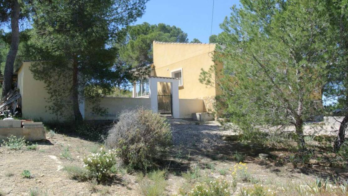 Sale - Villa - Jumilla - Jumilla Centro