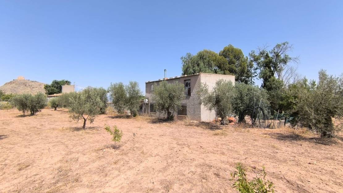 Sale - Villa - Jumilla - Jumilla Centro