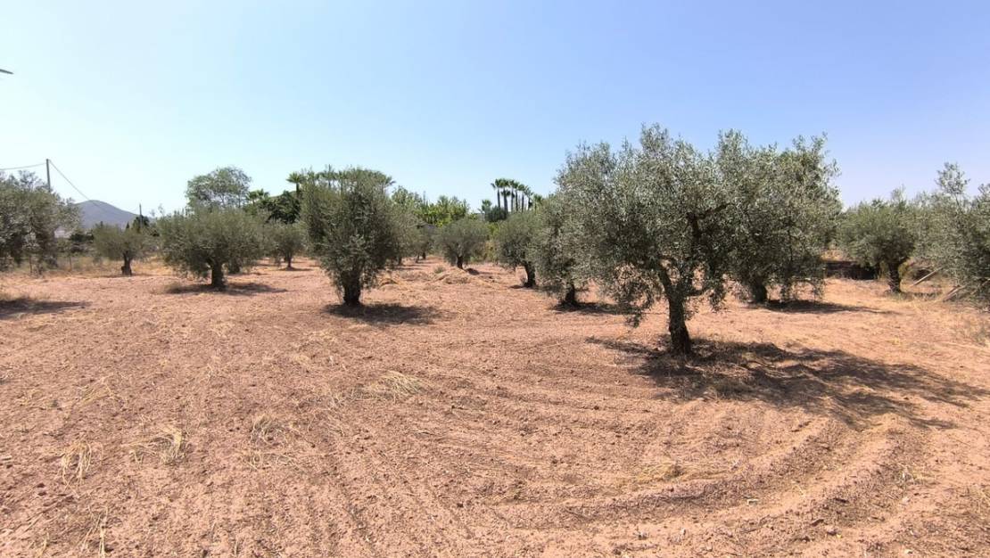 Sale - Villa - Jumilla - Jumilla Centro